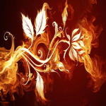 The Little Fires