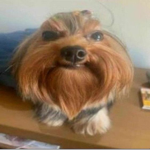 7942