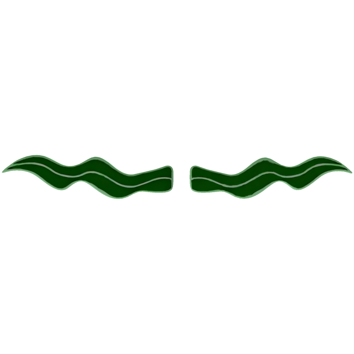 Seaweed Mustache 🌿😎 [SpongeBob]