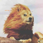 Lé Dogé Fans