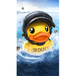 (B) Duck