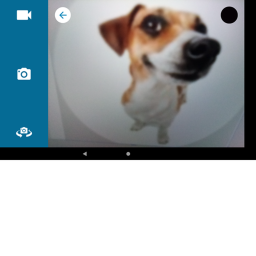 MORTH INTO DOGS AND UNLOCK THEM UPDATE