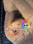Rat_lover community