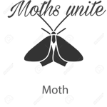 Moths! :>