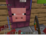 Pig in door
