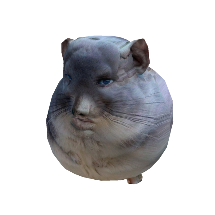 staring chinchilla meme