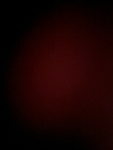 Pliperplip Studio's