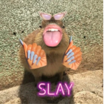 Capybara slays me