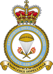 RAF | Airborne Delivery Wing