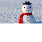 Snowy-Tuber fan club