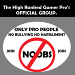 The High Ranked Gamer Pros