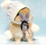 Vivian Bunny Sqaud