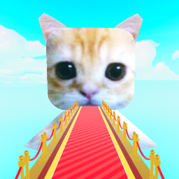 Climb Into El Gato!  😺