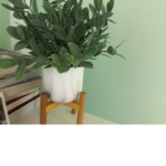 Crazy plant lady