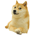 The Official Doge Border Group