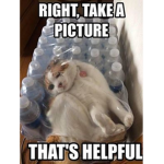 $ The Meme Shop $