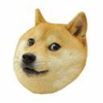 Doge Forever-_-