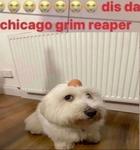 Juan.