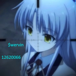 $wervin$