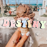 Destiny’s aesthetics