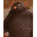 Meme boiiiiiis group