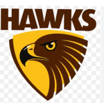 Go hawks afl