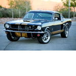 mustangss <3