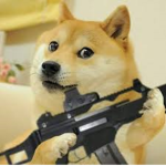 Doge Rey