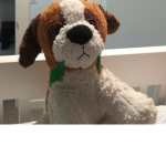 #stuffed puppy nation