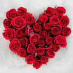 Hearts of a rose