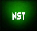 NST Family (Roblox)
