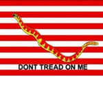 United States Continental Navy [USCN]