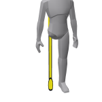 Sad Spongebob 2D - Right Leg
