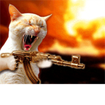 CAT WITH GUN ASSOCIATION