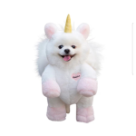 Unicorn dog