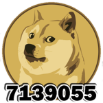 RUN RUN doge11:11