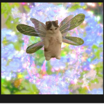 *'kawaii fairies'