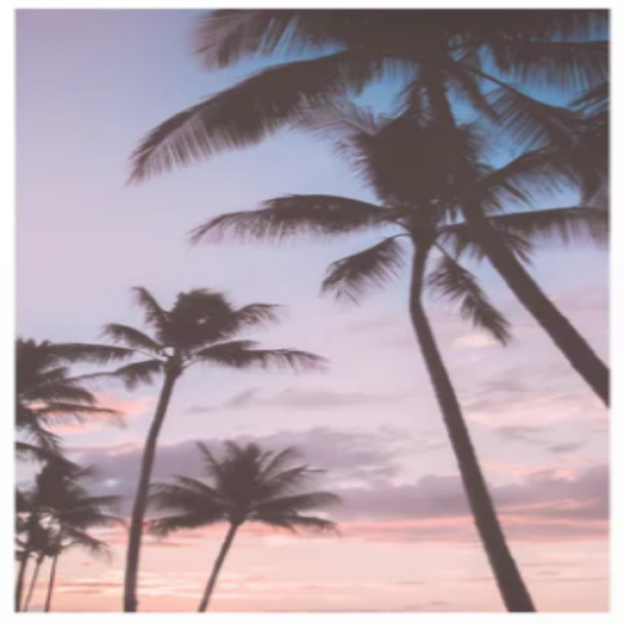 pastel palm trees Roblox decal