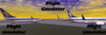 Flight simulator (FLSM)