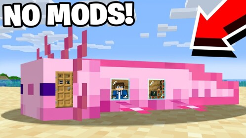 2 Player Axolotl Tycoon