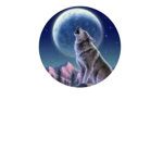 Wolf Squat