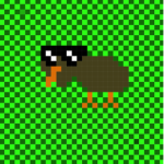real kiwi gang