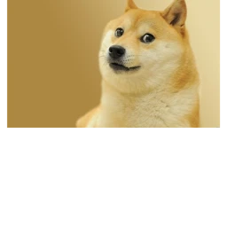 DOGE DOGE DOGE DOGE DOGE DOGE DOGE DOGE DOGE DOGE  icon