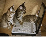 The Girls Life Chat