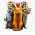 WARRIORS CATS!