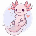 AXOLOTL_TWINS1213
