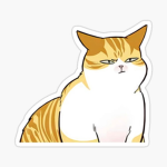 CHAT IMPROMPTU