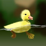 LIL Ducky Pro