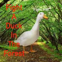 Fight A Duck In The Forest icon