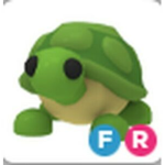 Team tortuga._